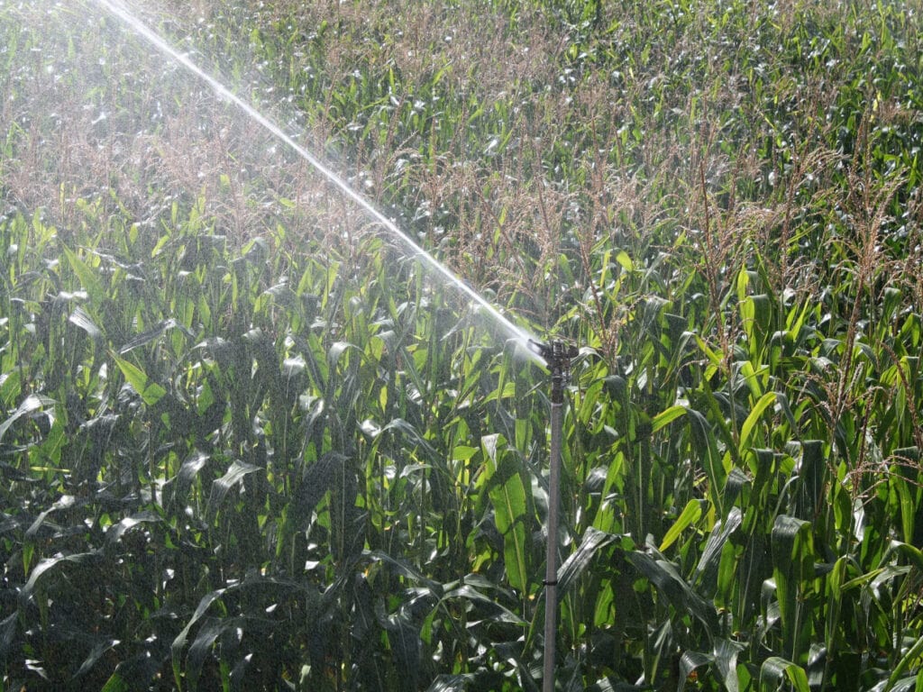 Riego-goteo-enterrado-Zanja-Abierta